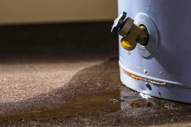 Best Flooded house restoration  in Wyoming, OH