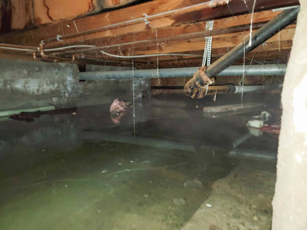 Best Water damage restoration specialists  in Wyoming, OH