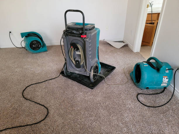 Best Residential water damage restoration  in Wyoming, OH