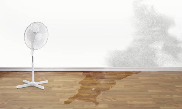 Best Fire Damage Restoration  in Wyoming, OH