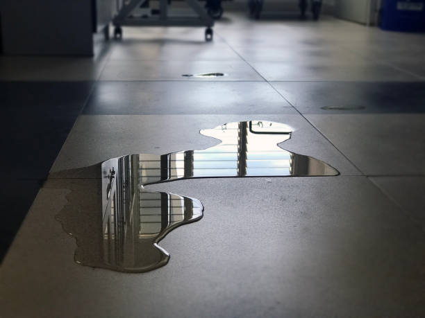 Best Emergency water damage restoration  in Wyoming, OH