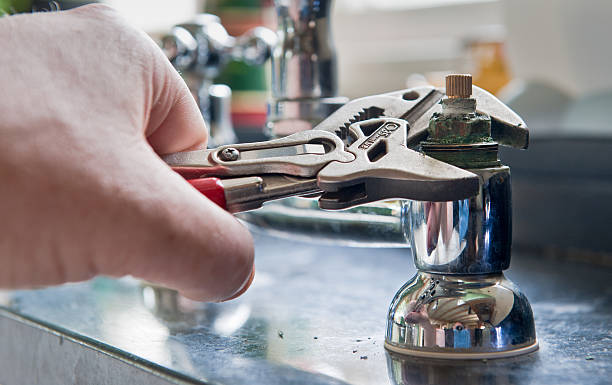 Best Mold removal after water damage  in Wyoming, OH