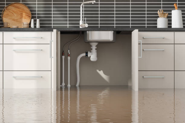 Best Water damage restoration near me  in Wyoming, OH